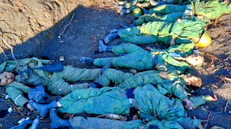 dohlaya-rusnya-trupy