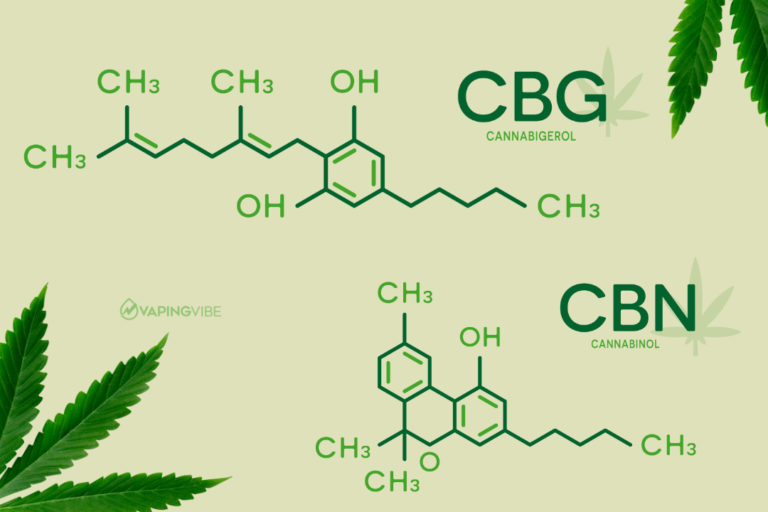 cbg-vs-cbn-whats-the-difference-02