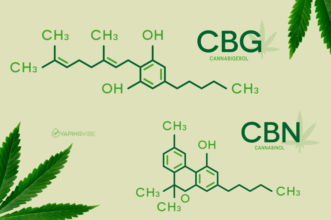 cbg-vs-cbn-whats-the-difference-02