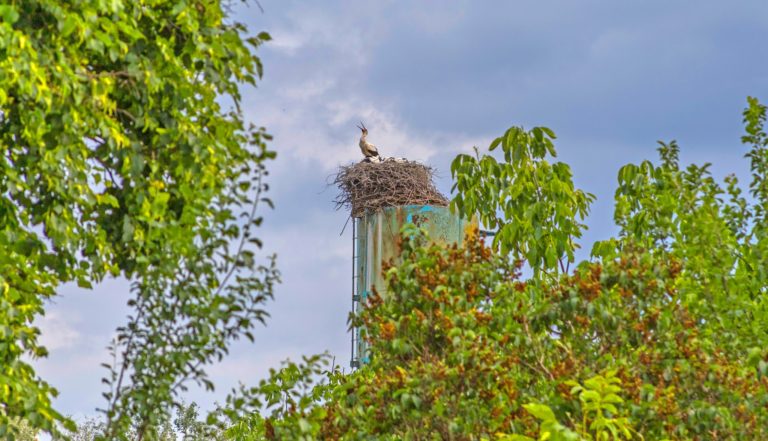 355299313_753594776775633_5710923067702253325_n