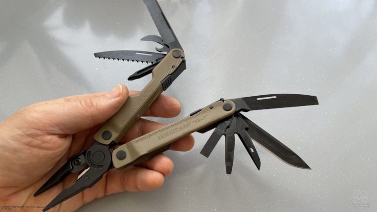 rebar_coyote_1