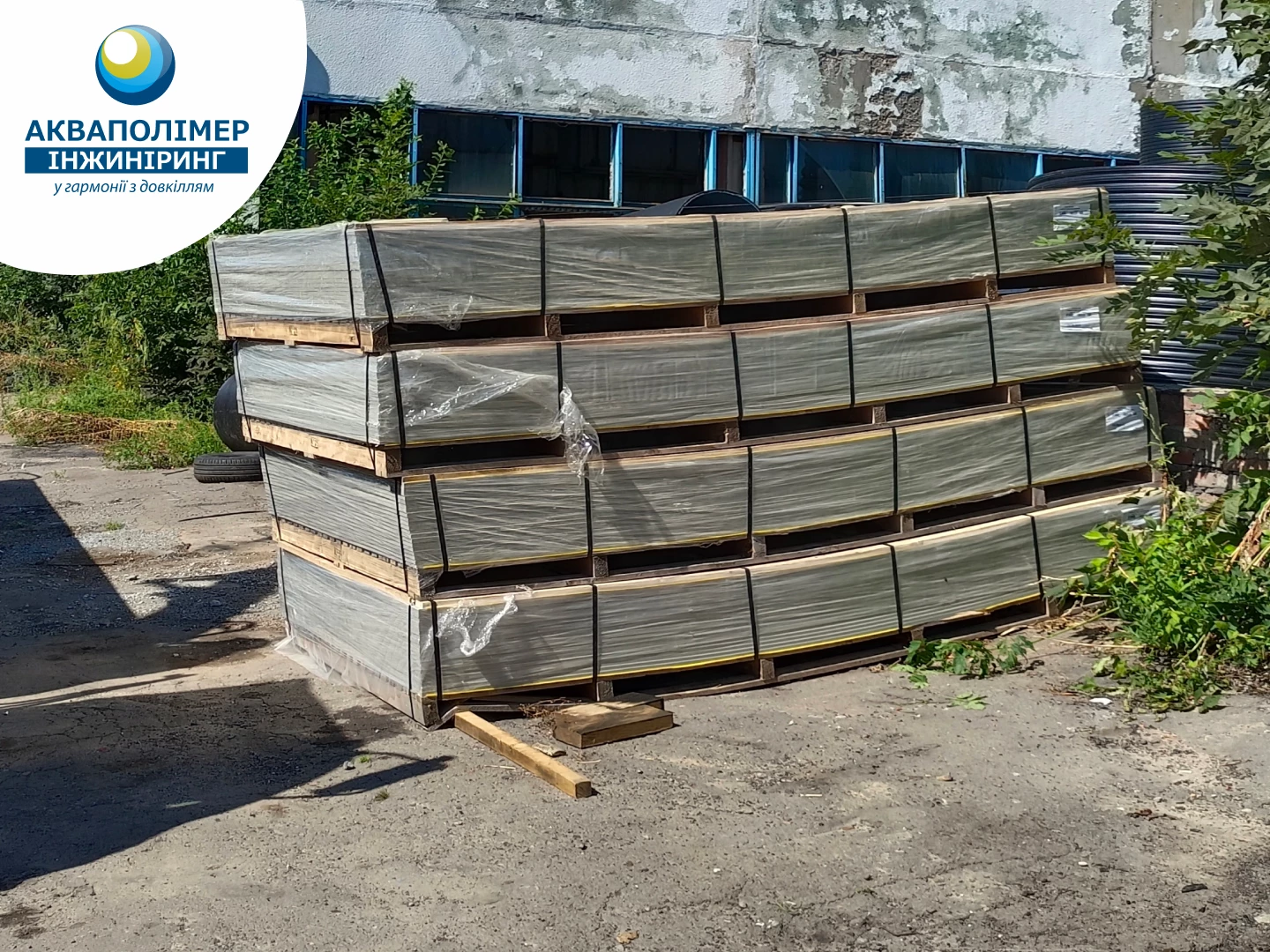 654bf31dd018a