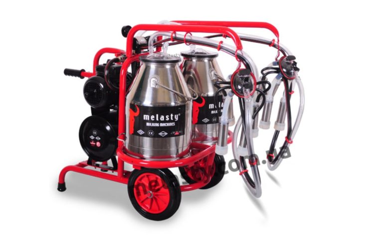 Скриншот 18-11-2023 175623