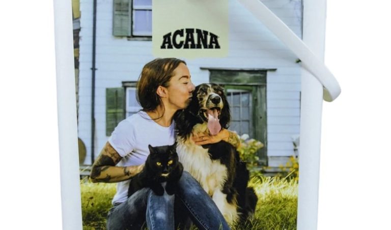 Скриншот 04.03.25_16.13.18