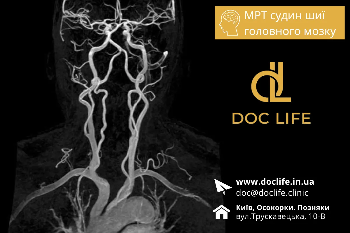 mrt-sudyn-shyyi-mrt-sudyn-shyjnogo-viddilu-kyyiv-osokorky-doc-life-9