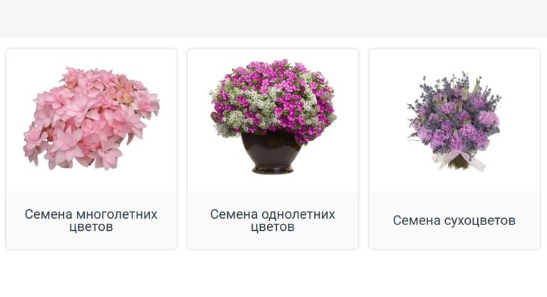 Скриншот 08.04.25_17.33.03