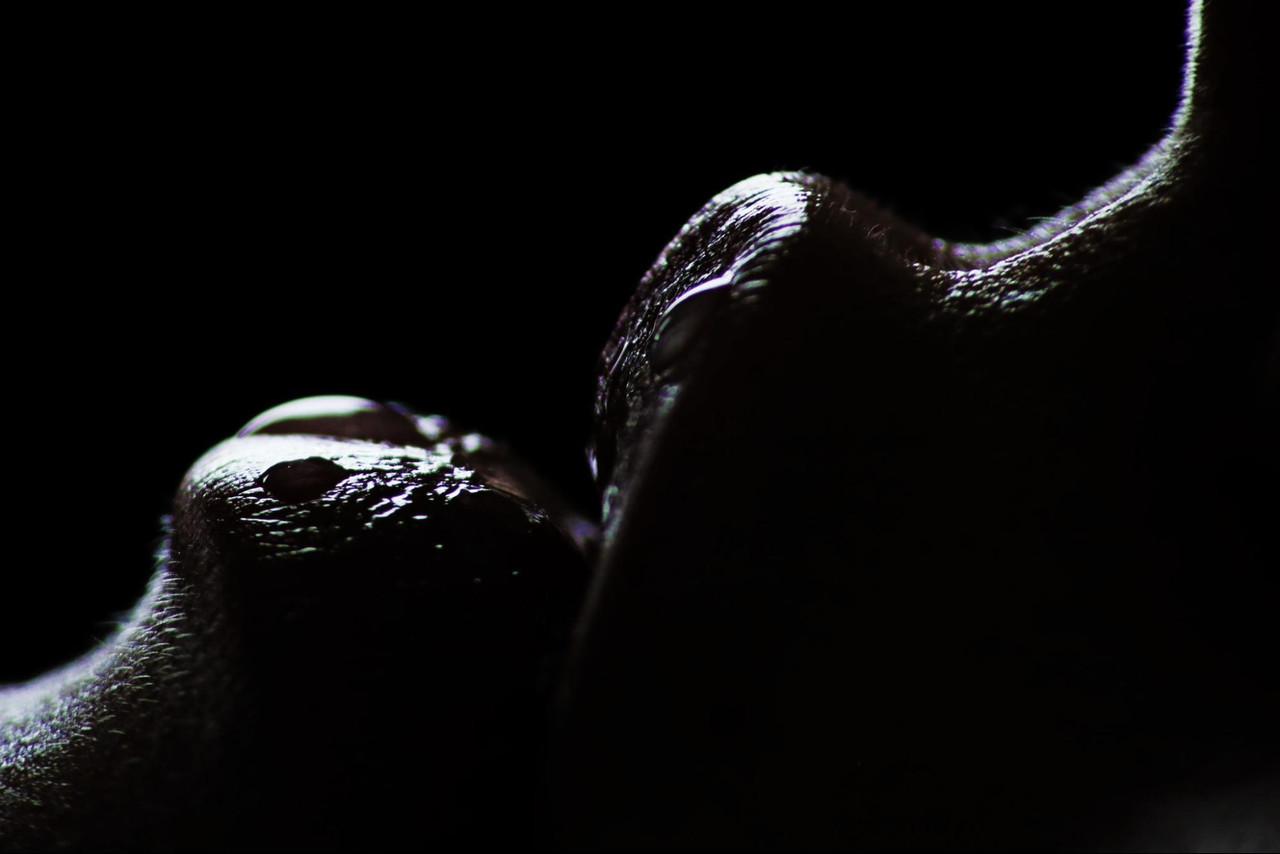 image2 (5)