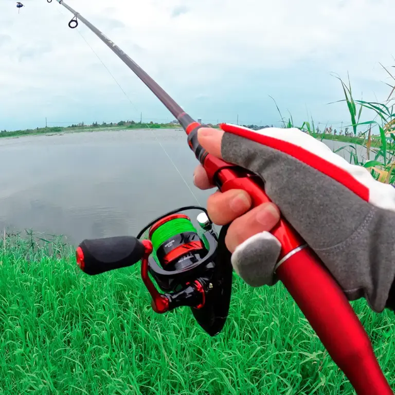 5695186041_w640_h640_5695186041