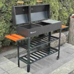 6620474222_mangal-barbekyu-mzavod-gelios-800x800